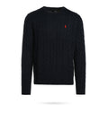 Polo Ralph Lauren 衬衫